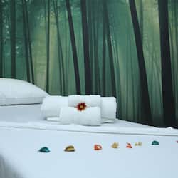 Behandlungsräume für Paare, Sauna, Dampfbad, Körperbehandlungen