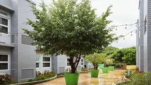 A courtyard with a tree, potted plants, and a wet pavement. - Go Hotels Puerto Princesa (Puerto Princesa)