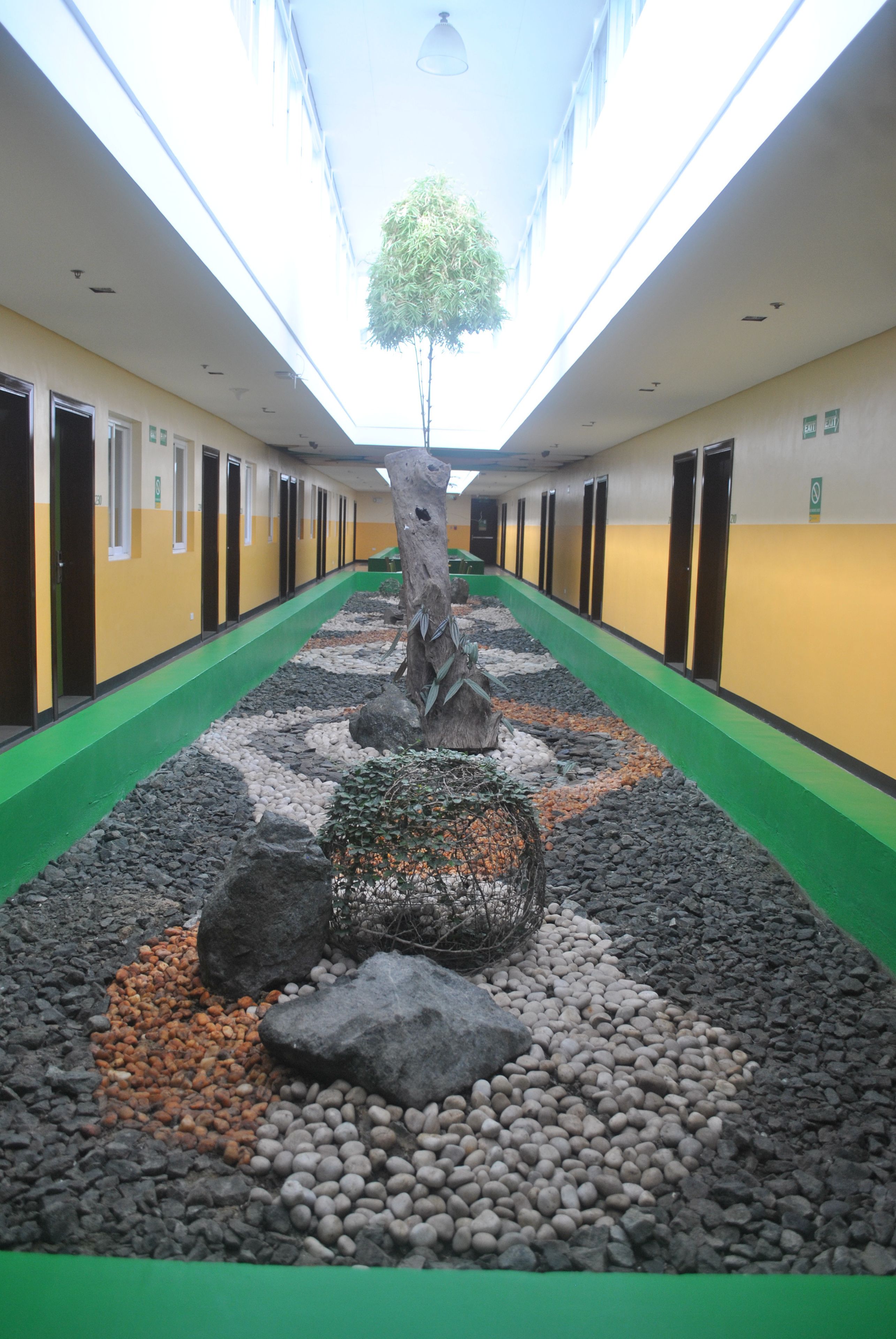 A corridor with a green carpet, a tree, and a row of doors.