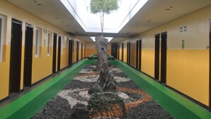 A corridor with yellow walls, green flooring, and a central tree. - Go Hotels Tacloban (Tacloban)