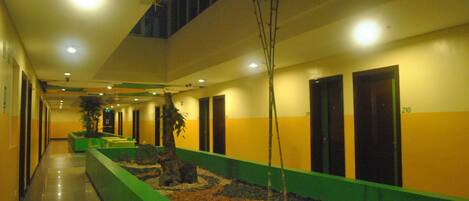 A corridor with a green planter, a tree, and a row of doors.
