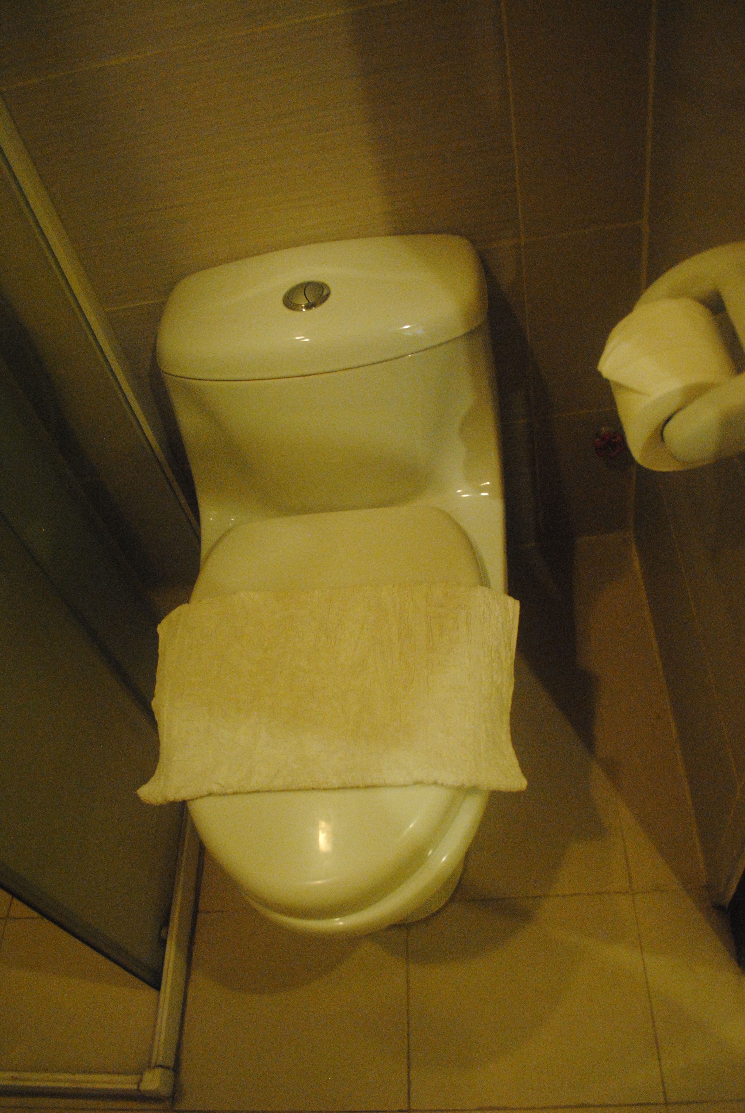A toilet with a paper towel holder to the right.