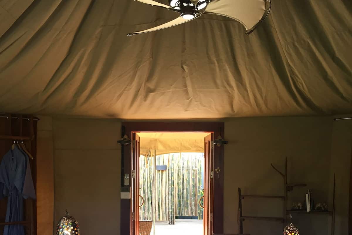 A bed with white linens and towels, a ceiling fan, a nightstand with a lamp, and a view of bamboo outside.