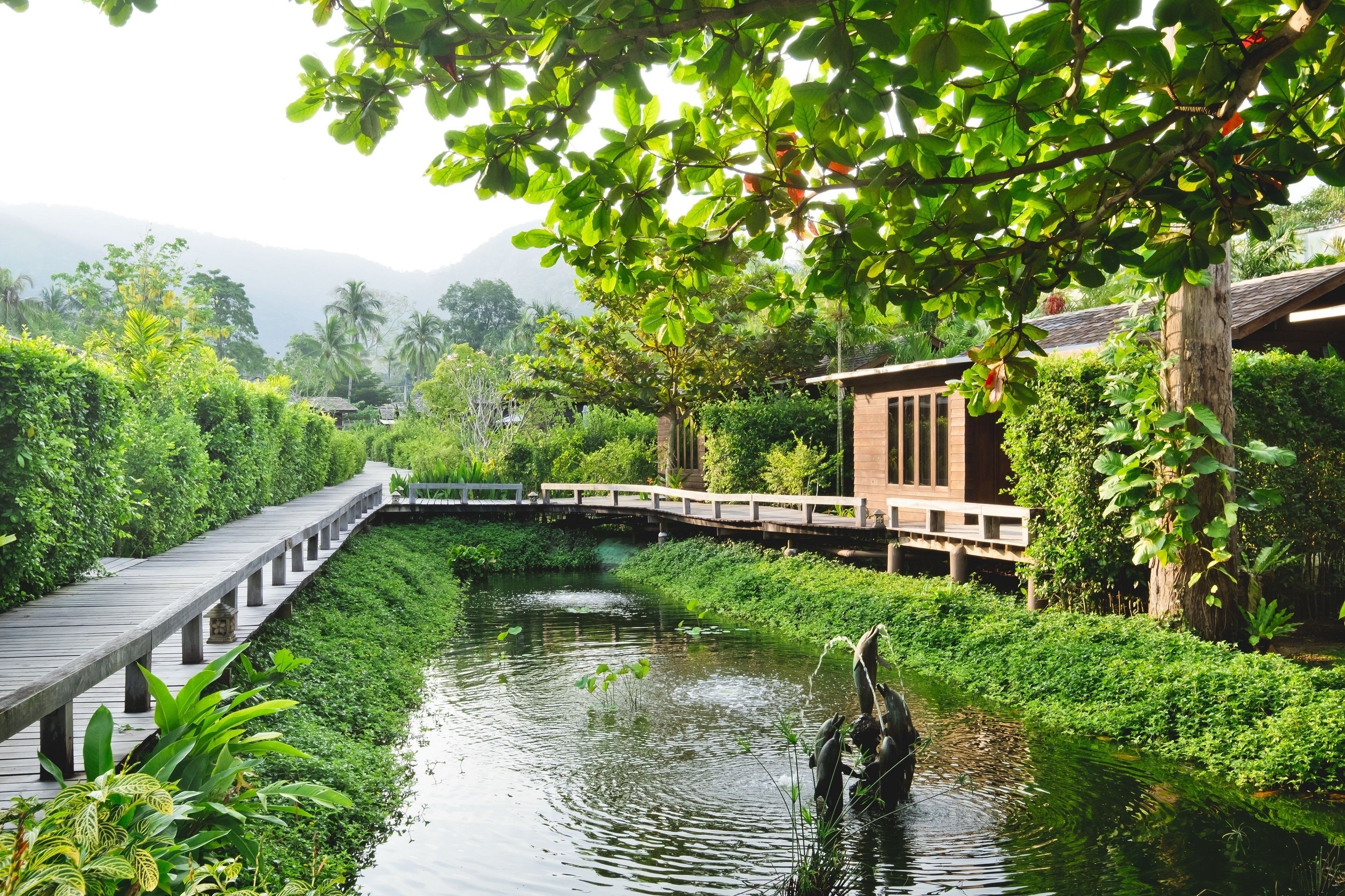 lanai deluxe king room | view from room