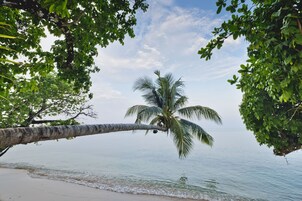 在海滩、海滩按摩、间海滩酒吧