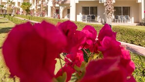 Ein Hotel mit mehreren Balkonen, Palmen und einem gepflegten Garten.