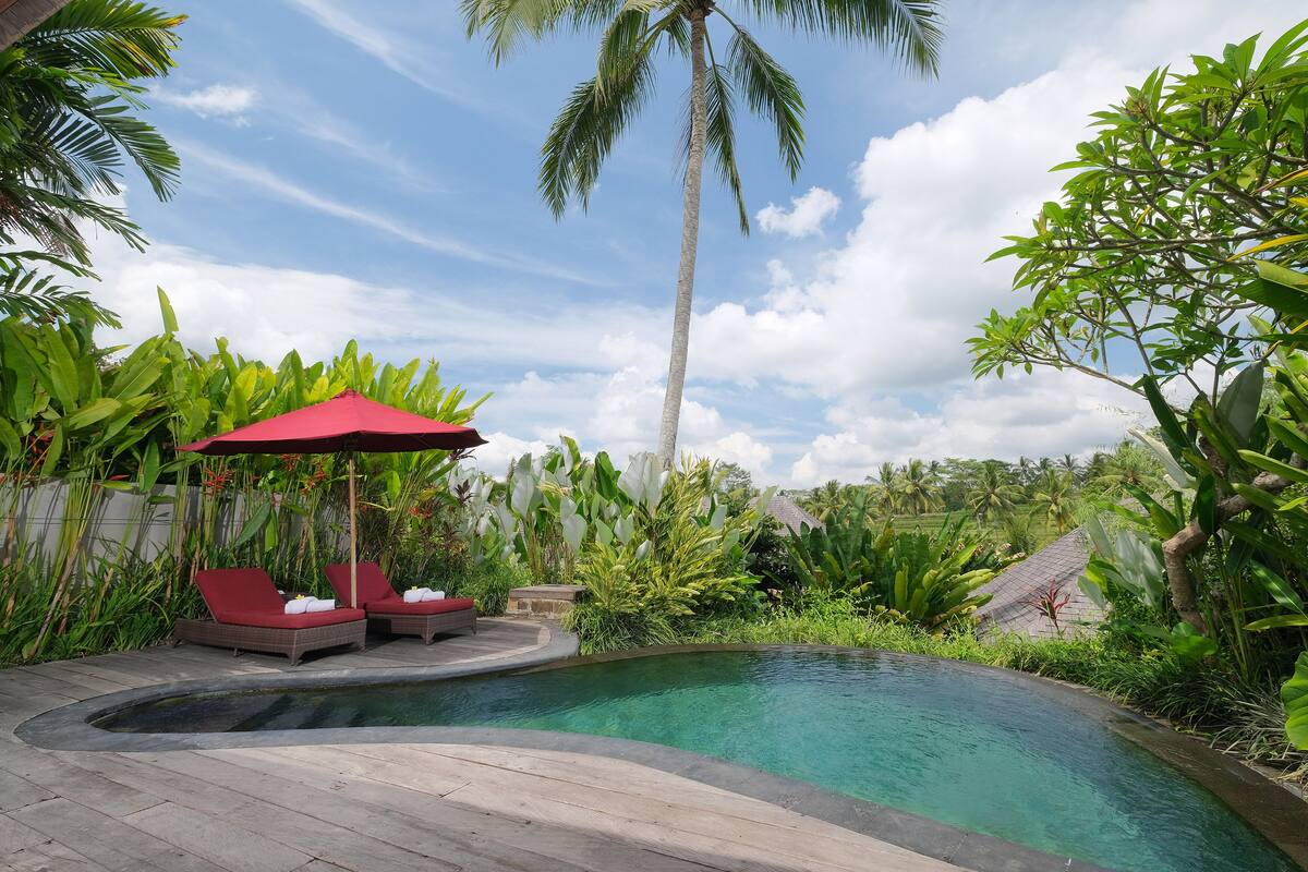 A pool area with lounge chairs and a red umbrella, surrounded by tropical plants and palm trees.