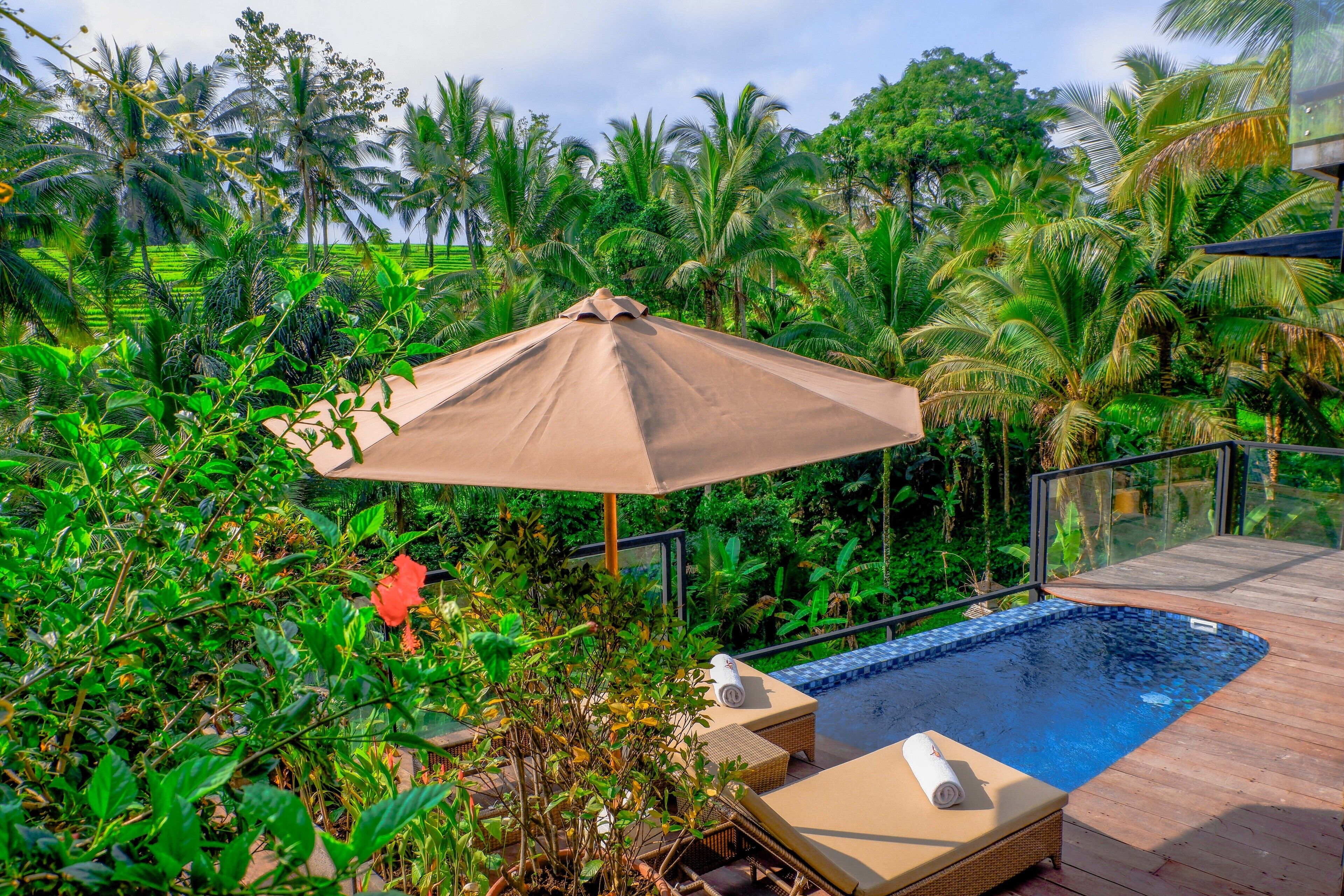 A pool area with lounge chairs and an umbrella, surrounded by lush greenery and palm trees.