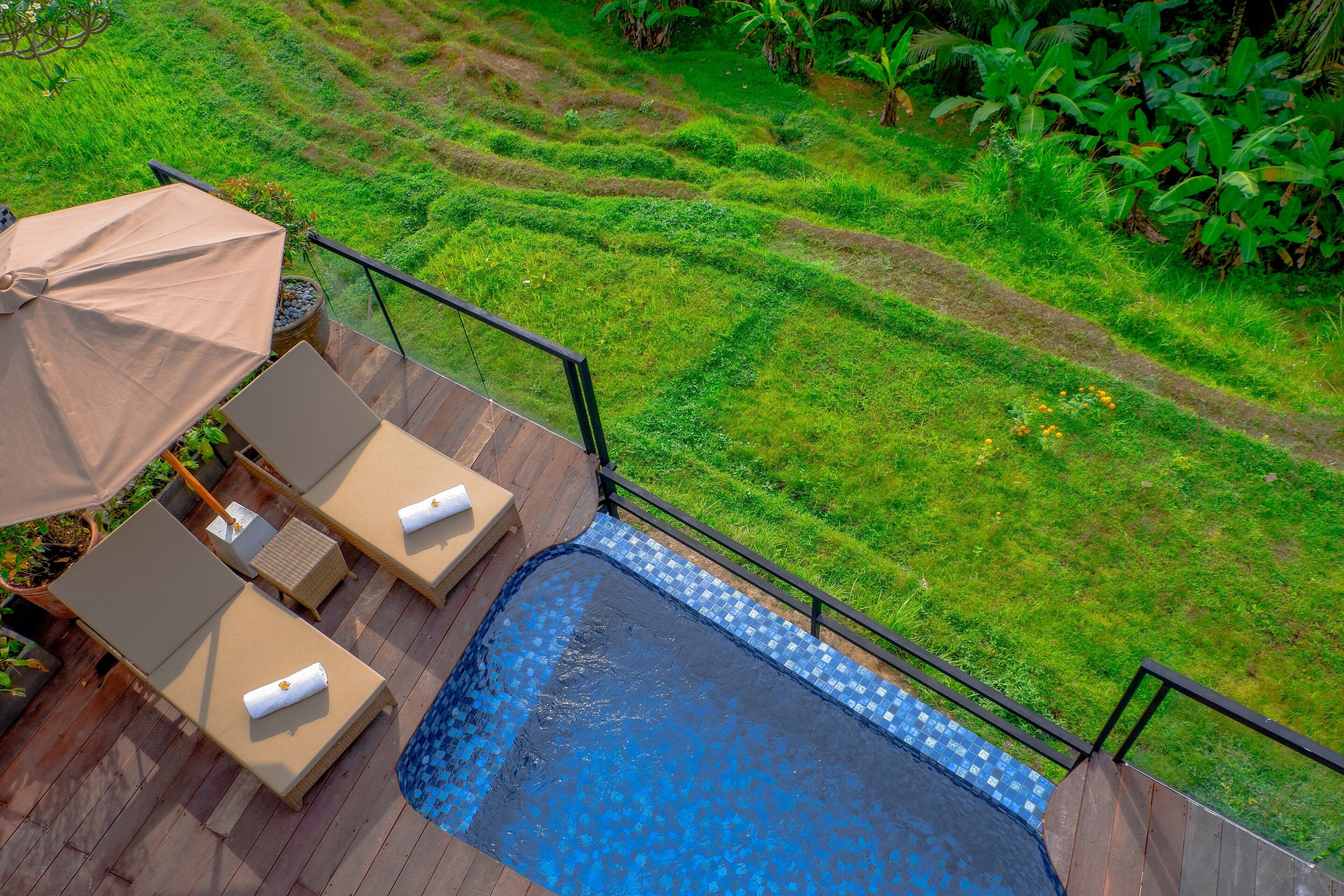 A rooftop pool with lounge chairs and an umbrella, surrounded by lush greenery.
