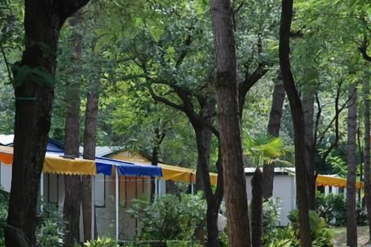 Un sendero rodeado de árboles y un edificio con tejado azul y amarillo.