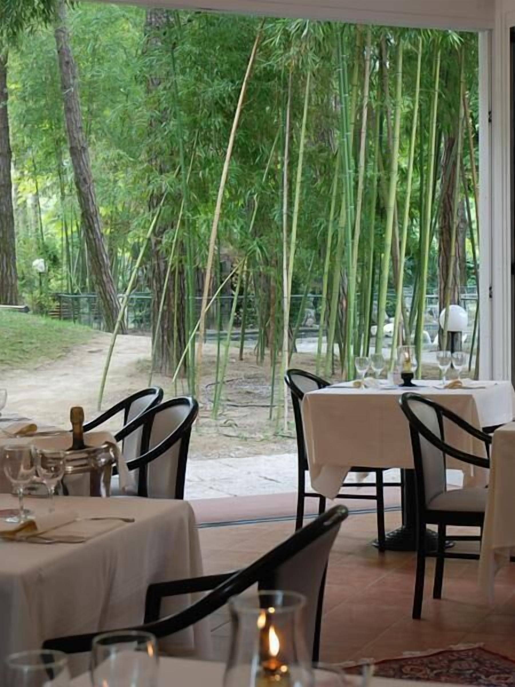 Abendessen, italienische Küche