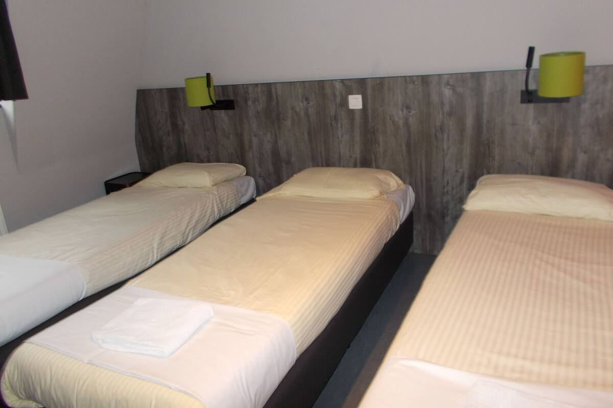 Een hotelkamer met twee eenpersoonsbedden, een houten hoofdbord en een nachtkastje met een lamp.