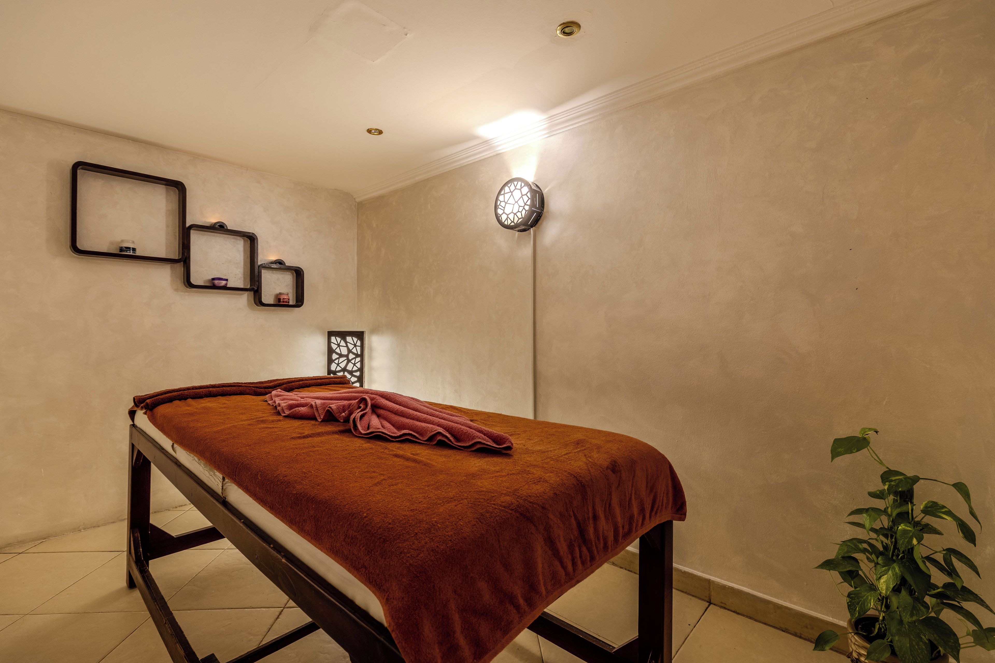 A single bed with a brown blanket, a wall-mounted shelf with items, a wall-mounted light fixture, and a potted plant.