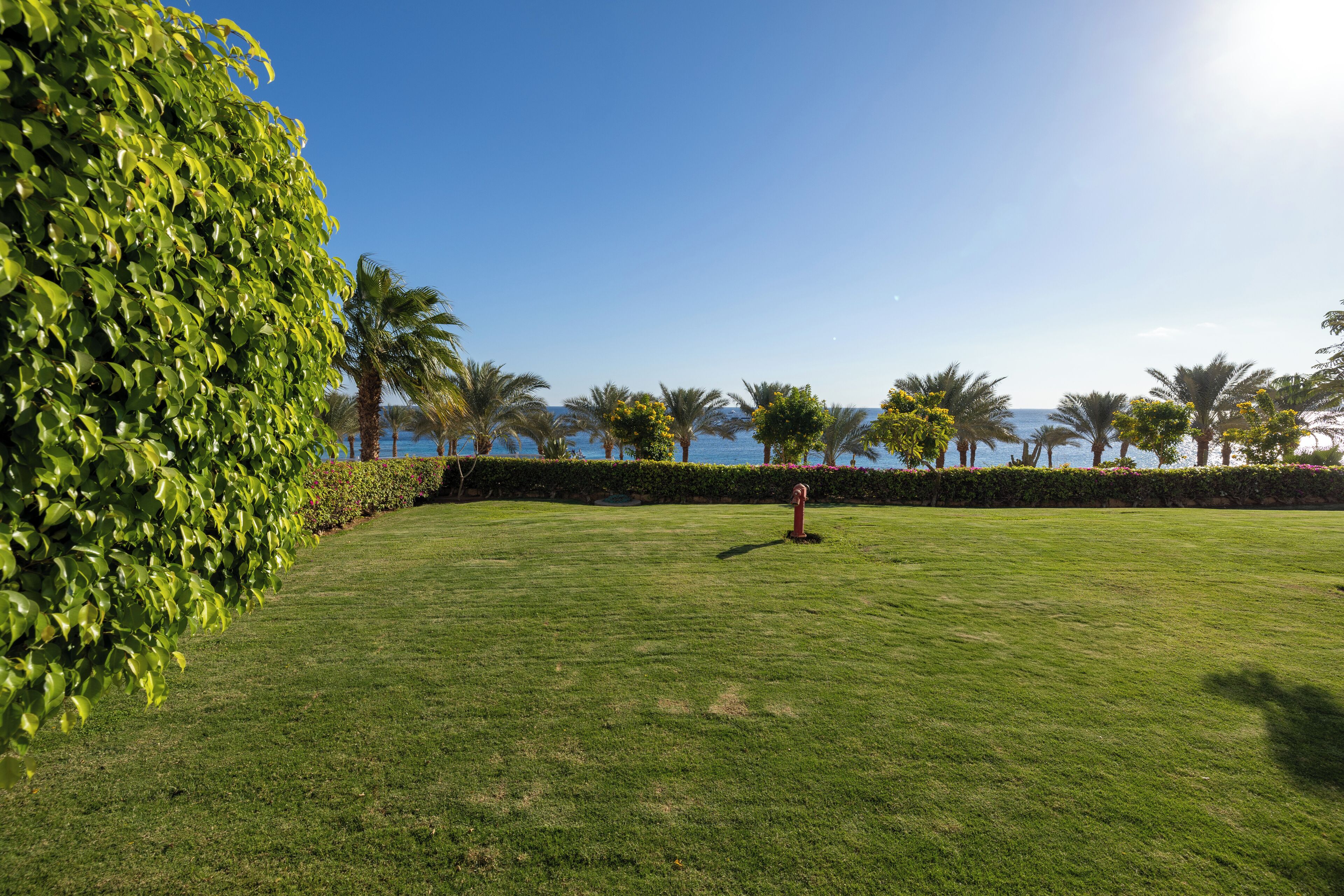 Photo - Continental Plaza Beach Resort