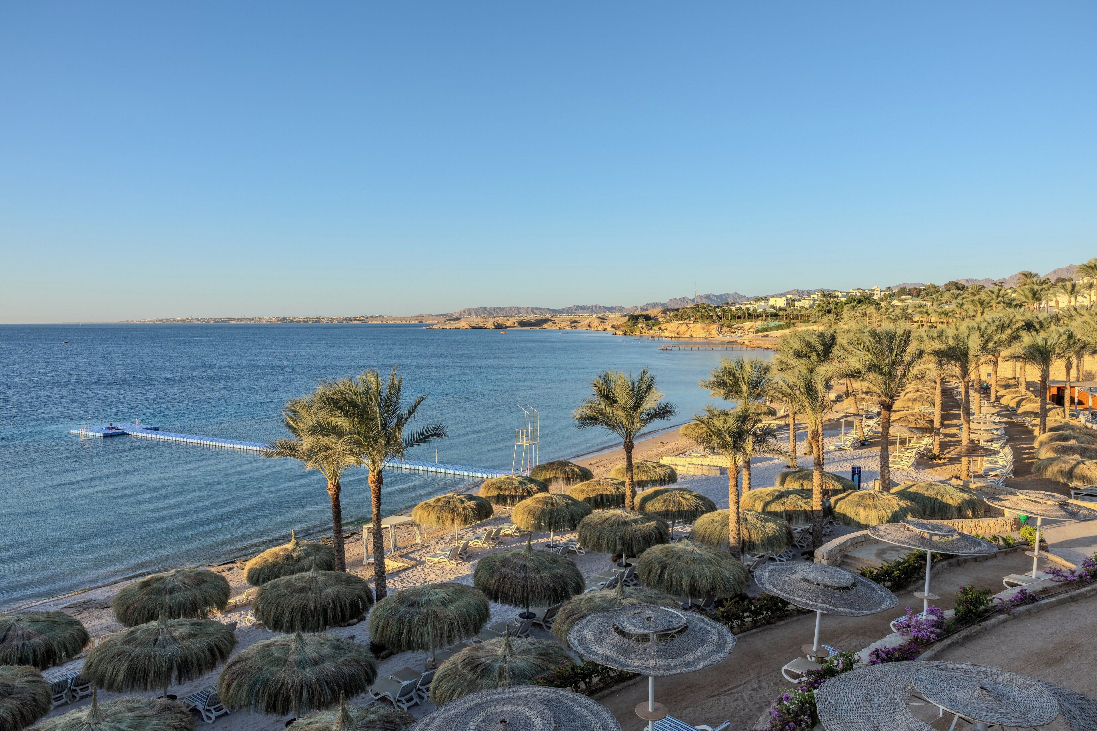 Photo - Continental Plaza Beach Resort