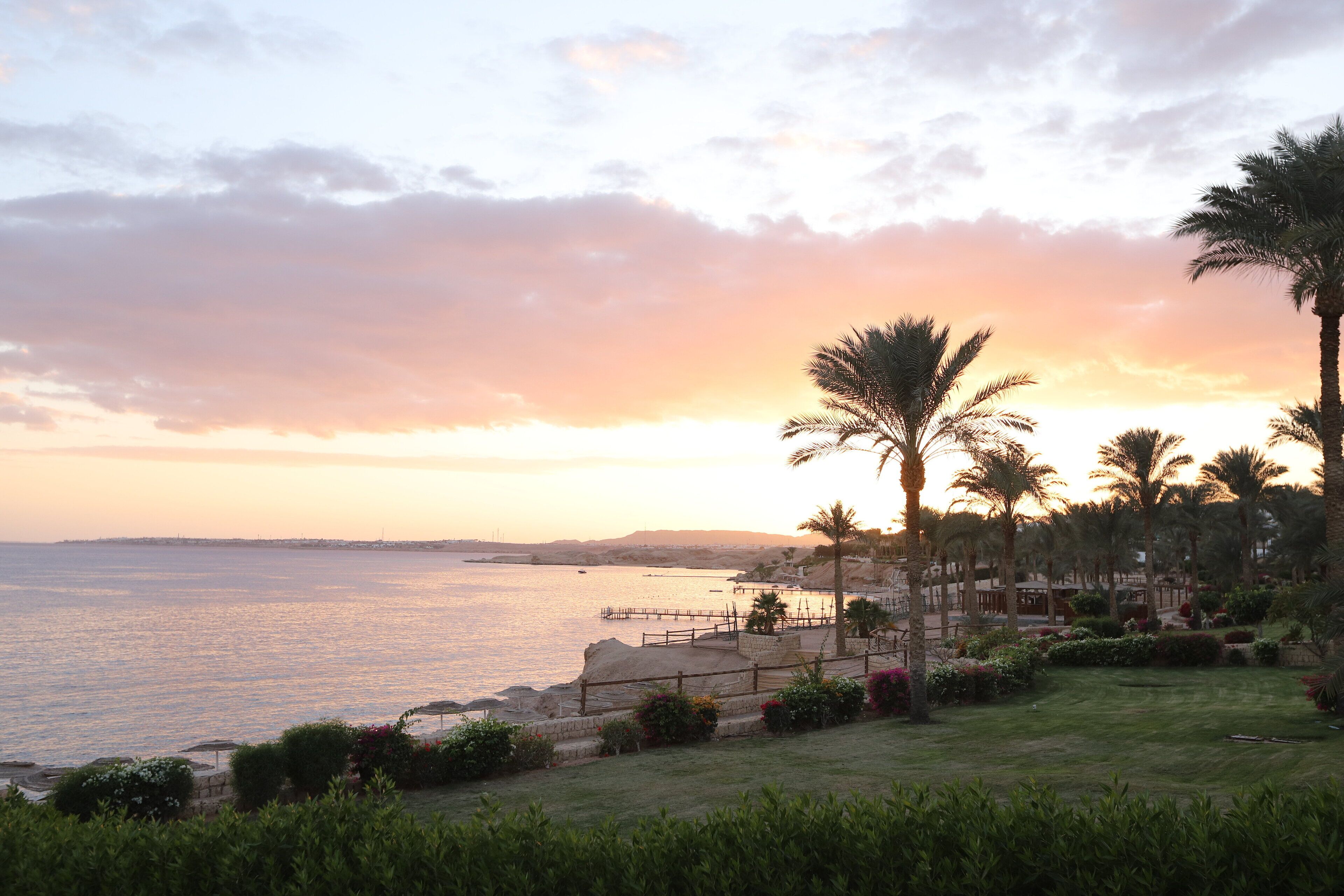 Photo - Continental Plaza Beach Resort