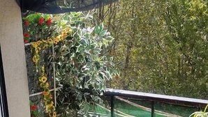 A balcony with a wooden chair, a potted plant, and a green table. - Hotel Massena (Genoa)