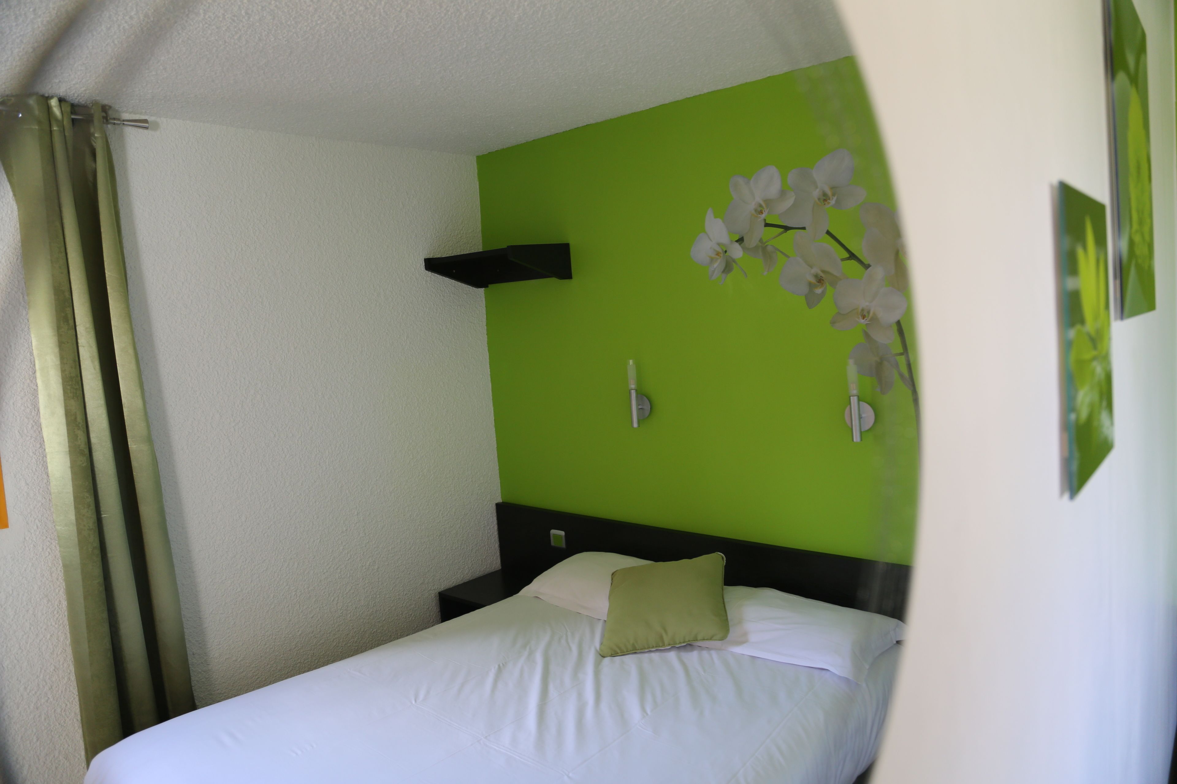 A single bed with white bedding, a green accent wall, and a white orchid decoration.