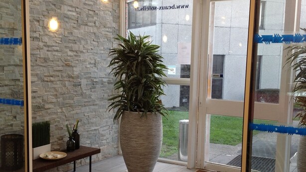 A reception area with a stone wall, a large potted plant, a bench, and a door leading outside. - Hôtel Les Beaux Soleils (Osny)
