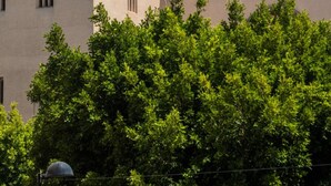 A building with a classical architectural style, featuring arched windows and columns. - Ten Hostel (Ibiza Town)