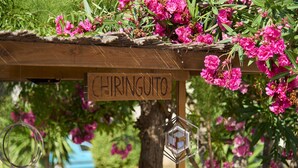 En træpergola med et skilt, der siger "CHIRINGUITO", og hængende dekorationer.
