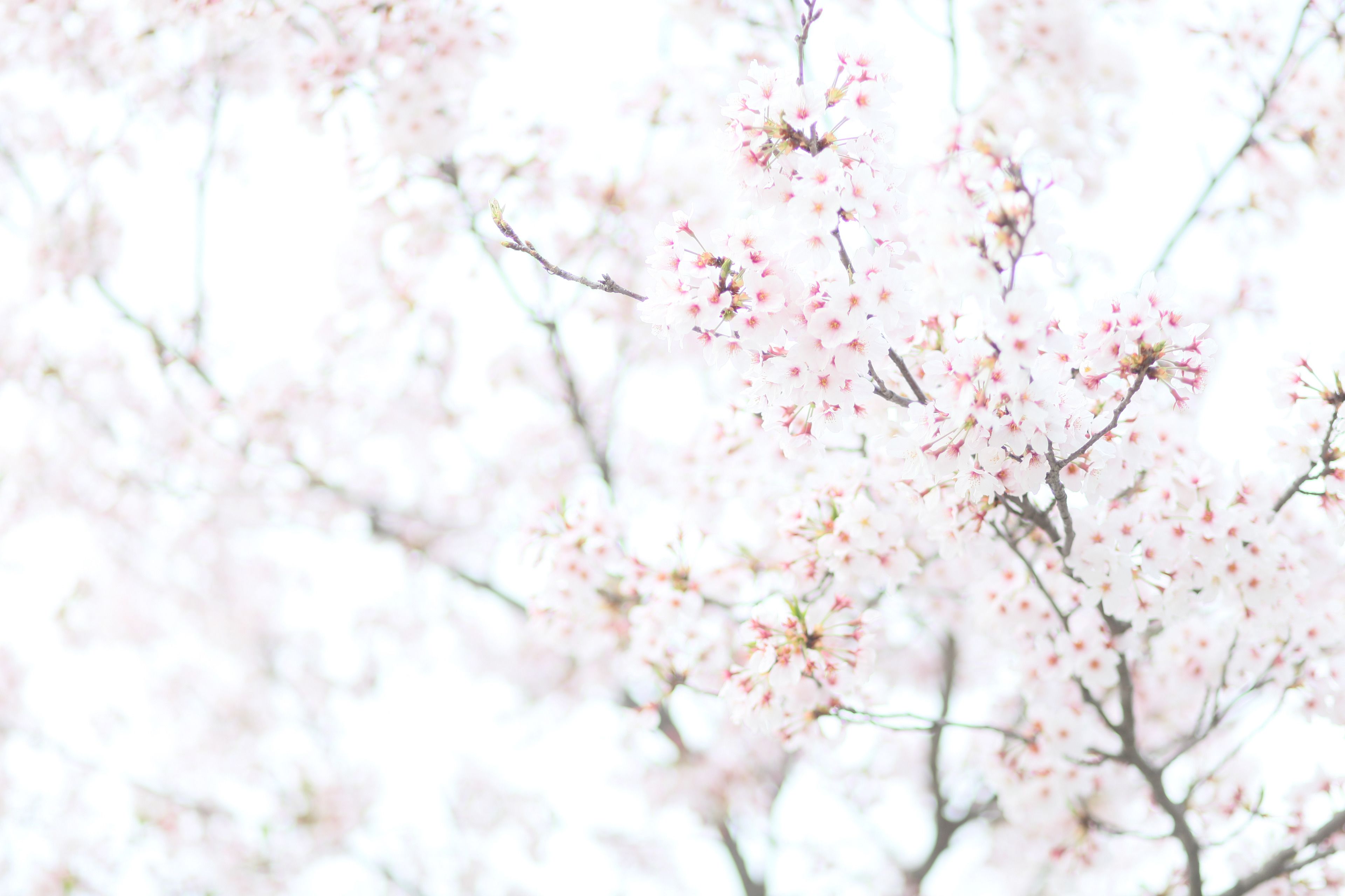 숙박 시설의 전망