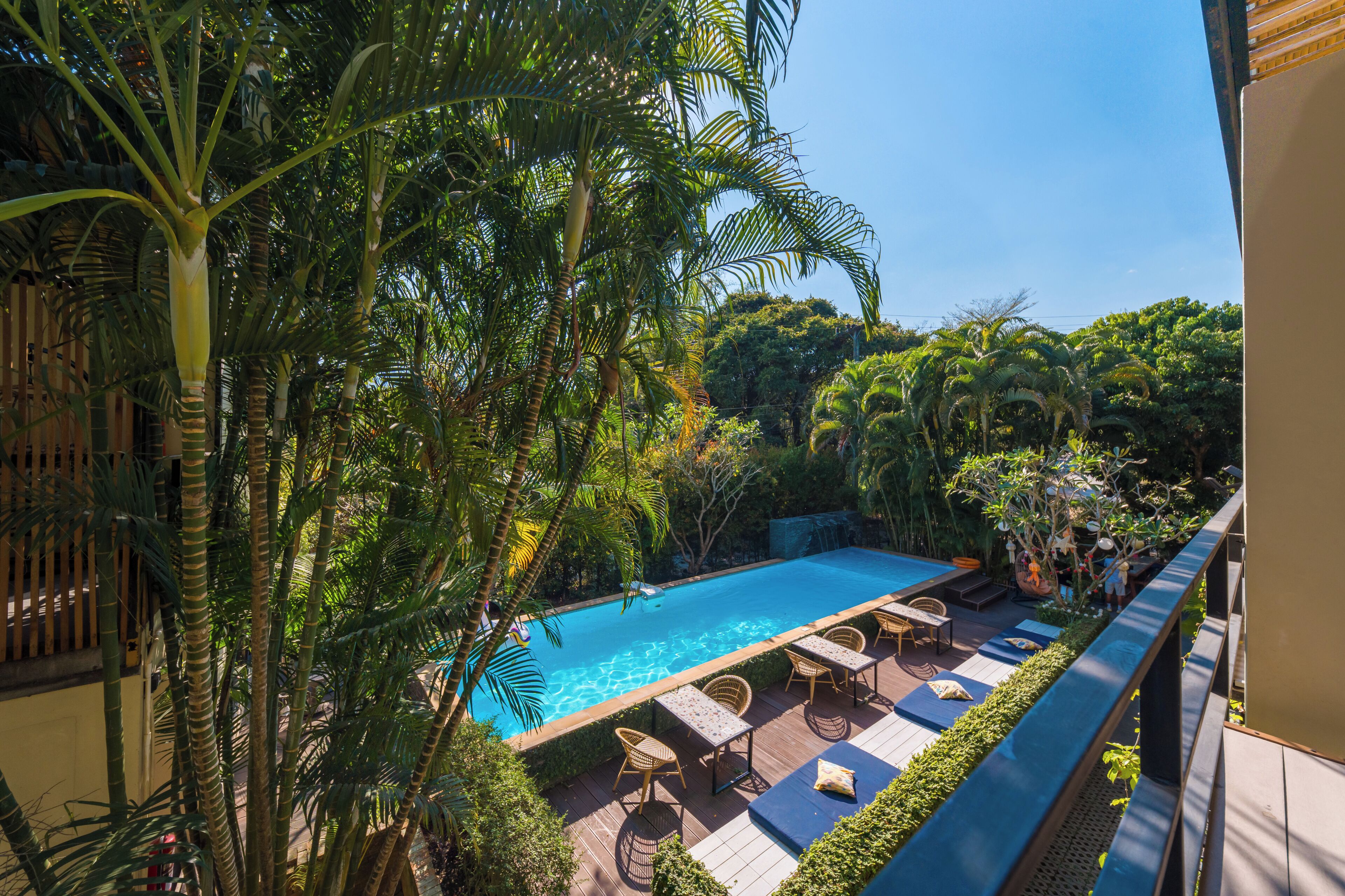 A pool with lounge chairs and a wooden deck, surrounded by tropical vegetation.