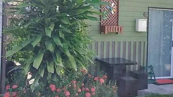 A house with a green exterior, a large plant in the front yard, and a small patio area.