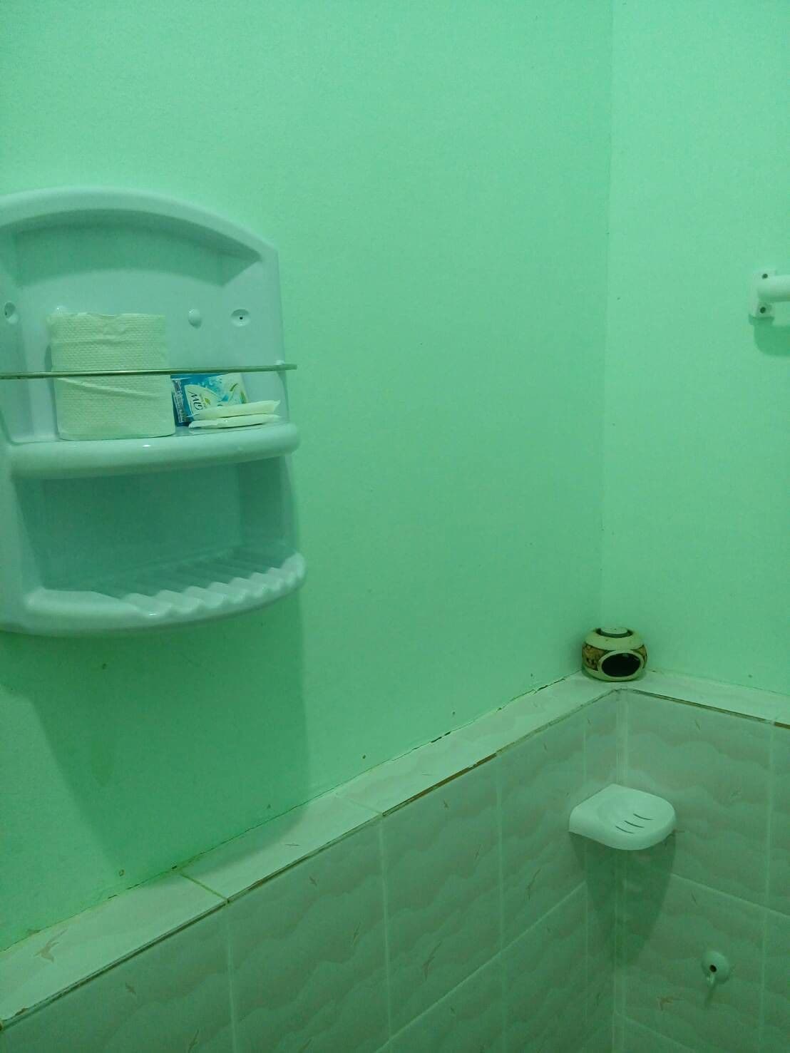 A bathroom with a toilet, a small shelf with toiletries, and a corner with a toilet paper holder.