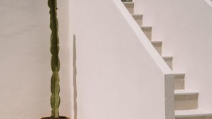 Una escalera con paredes blancas y una planta en maceta.