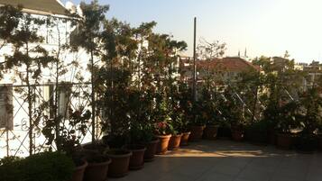Terraço/pátio