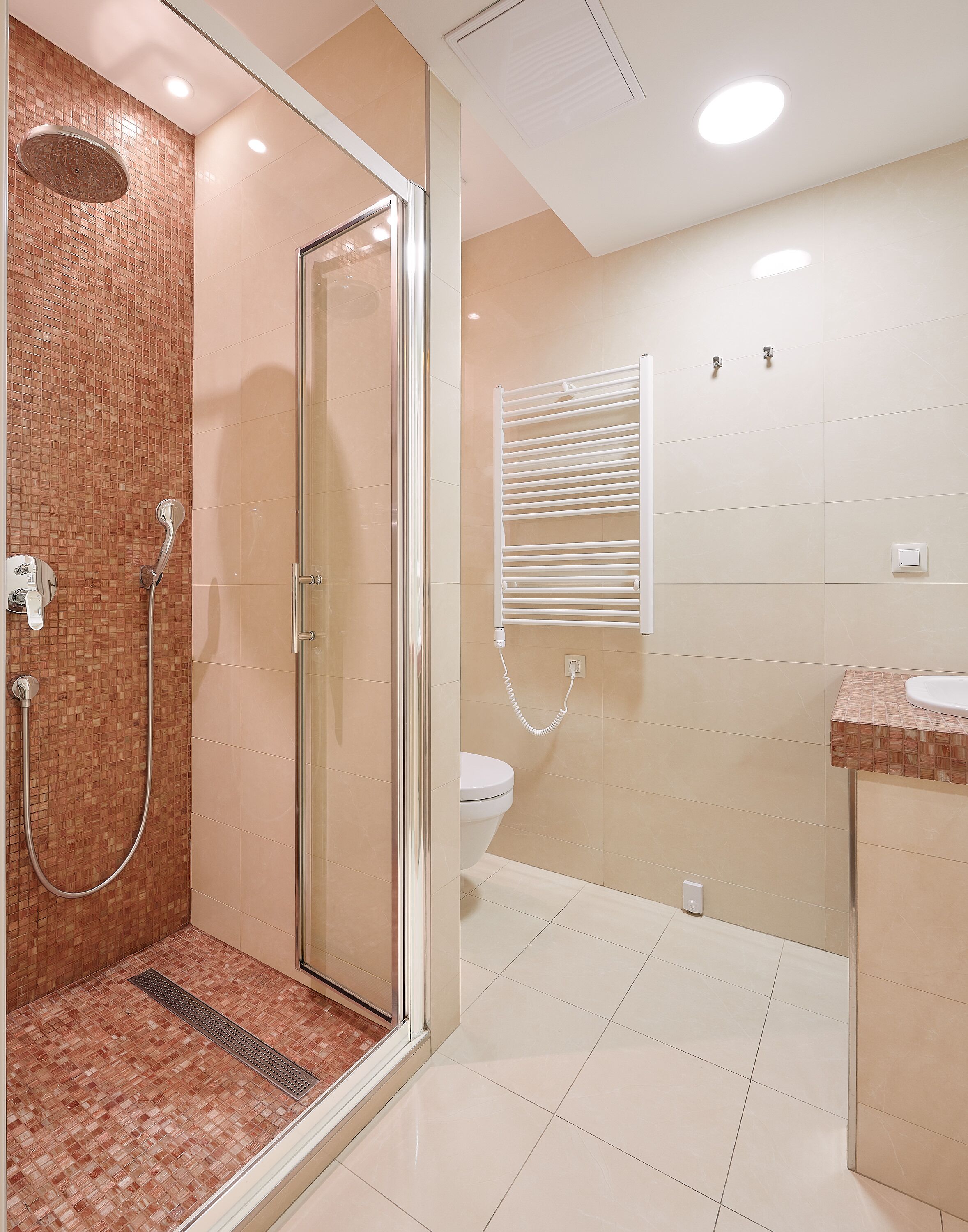 A modern bathroom with a glass-enclosed shower, a toilet, and a sink.