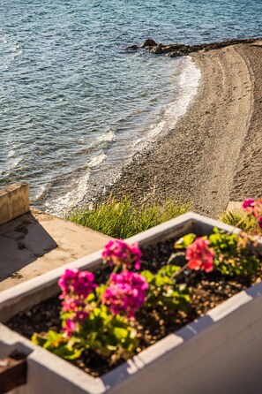 View from property - Hotel Plaža (Pag)
