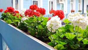 A balcony with a railing, a blue building with white window frames, and red and white flowers in a planter. - Full Moon Budapest (Budapest)