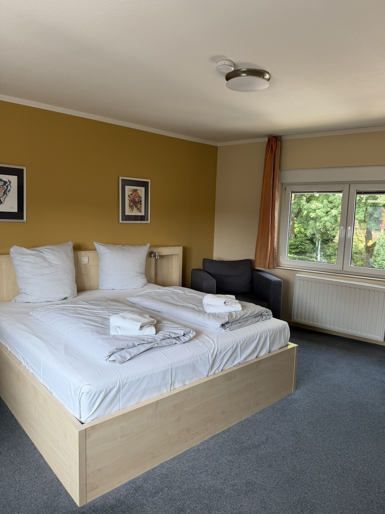 Standard Double Room | Desk, blackout drapes, soundproofing, free WiFi