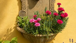 A wall-mounted planter with a lion head design, filled with pink flowers and green foliage. - Hotel Select (Moenchengladbach)
