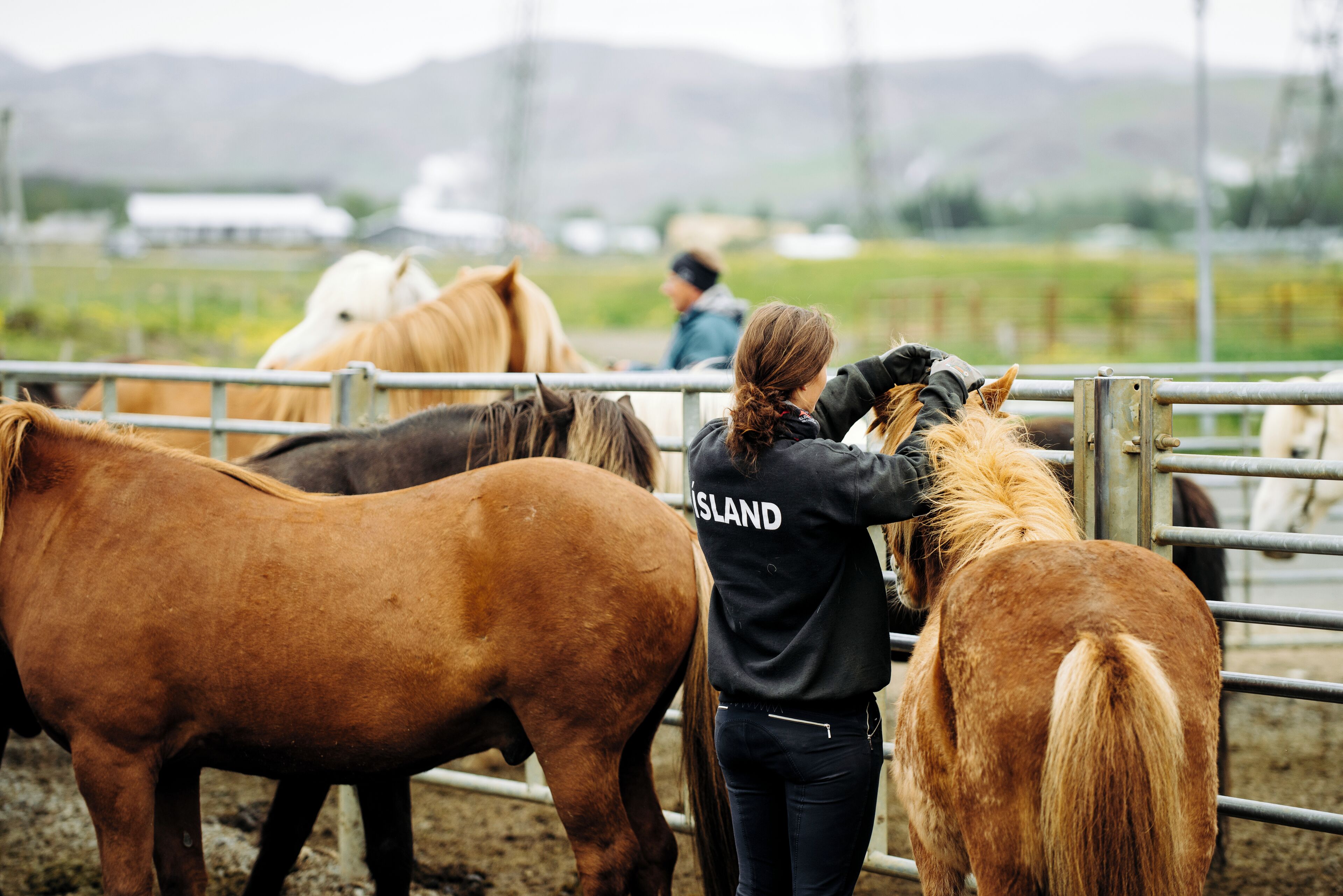 Una mujer interactuando con caballos en un área cercada, con montañas al fondo.