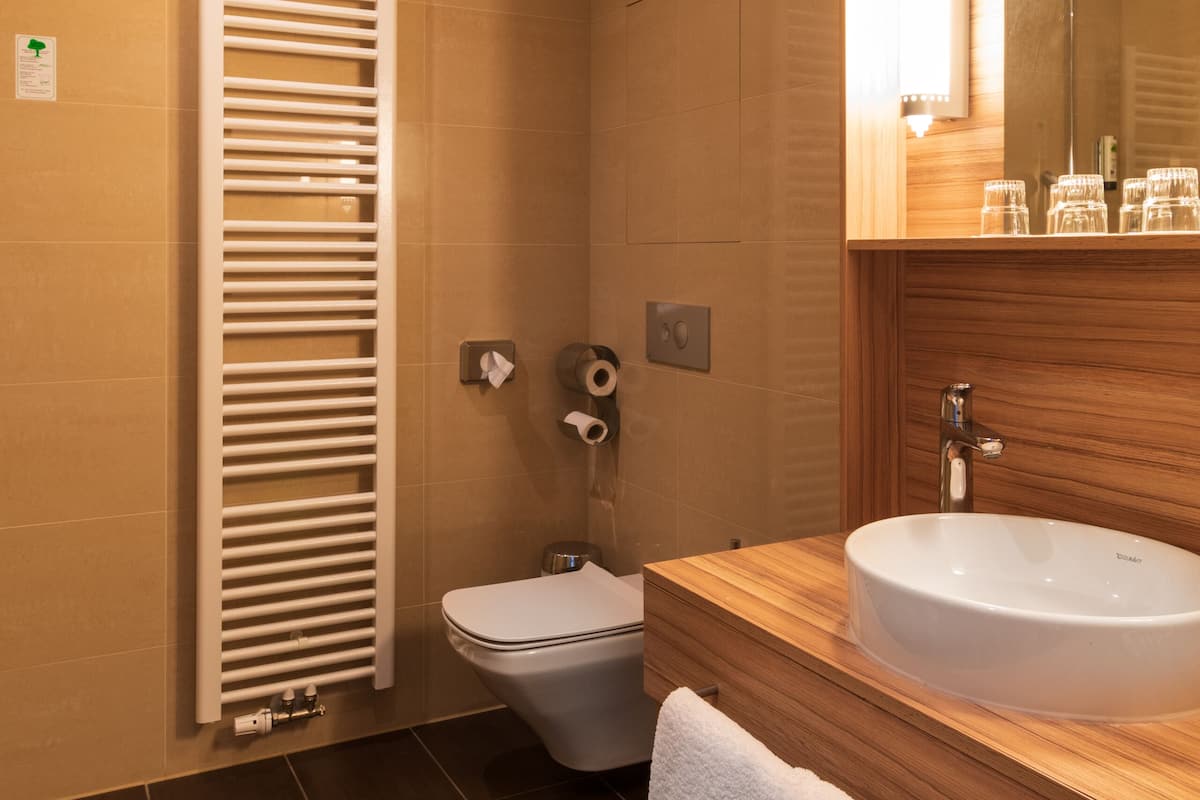 shower, free toiletries, hair dryer, towels