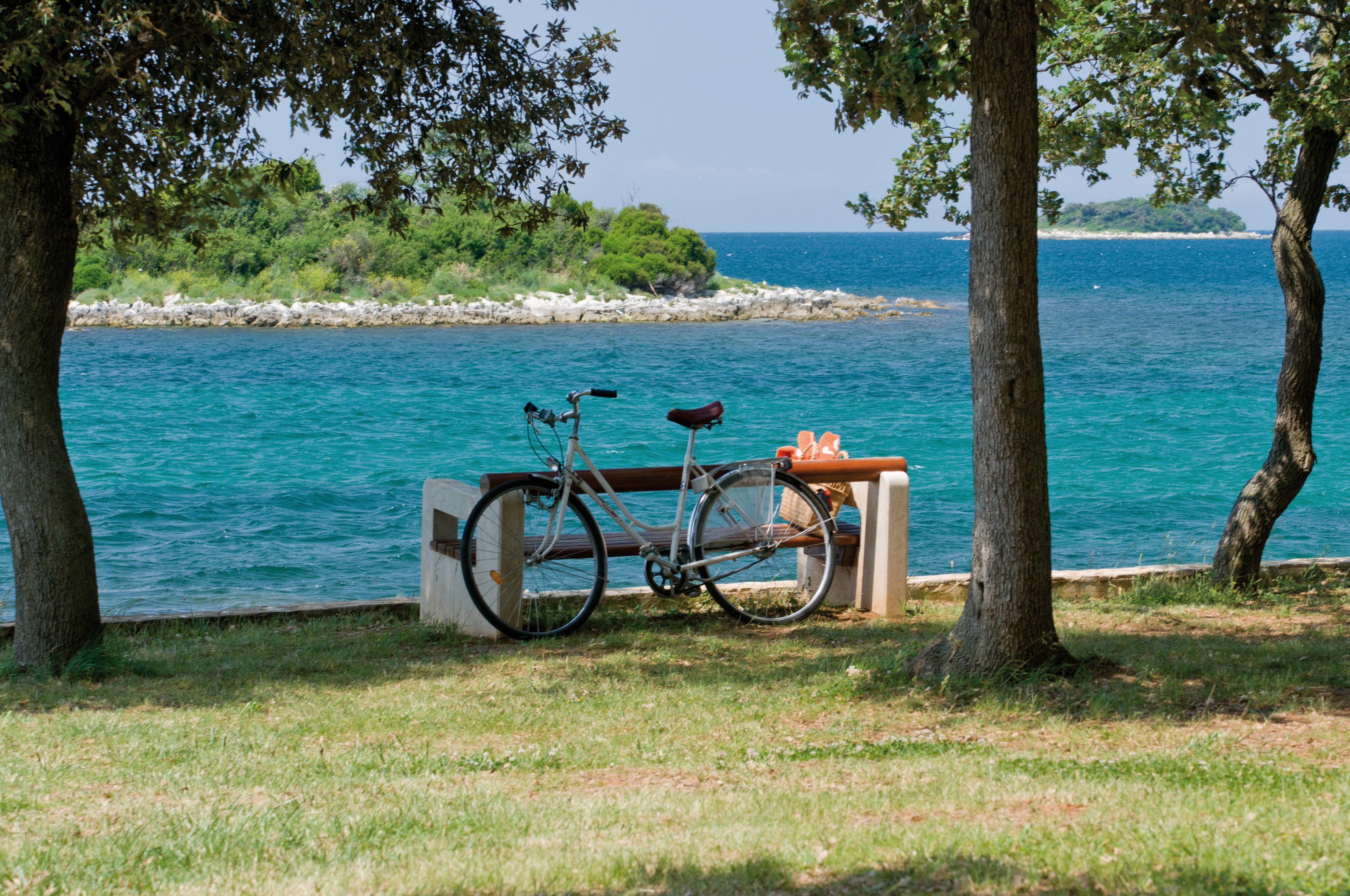 Un vélo est garé près d’un banc, à proximité d’une étendue d’eau. On aperçoit des arbres et une rive lointaine en arrière-plan.