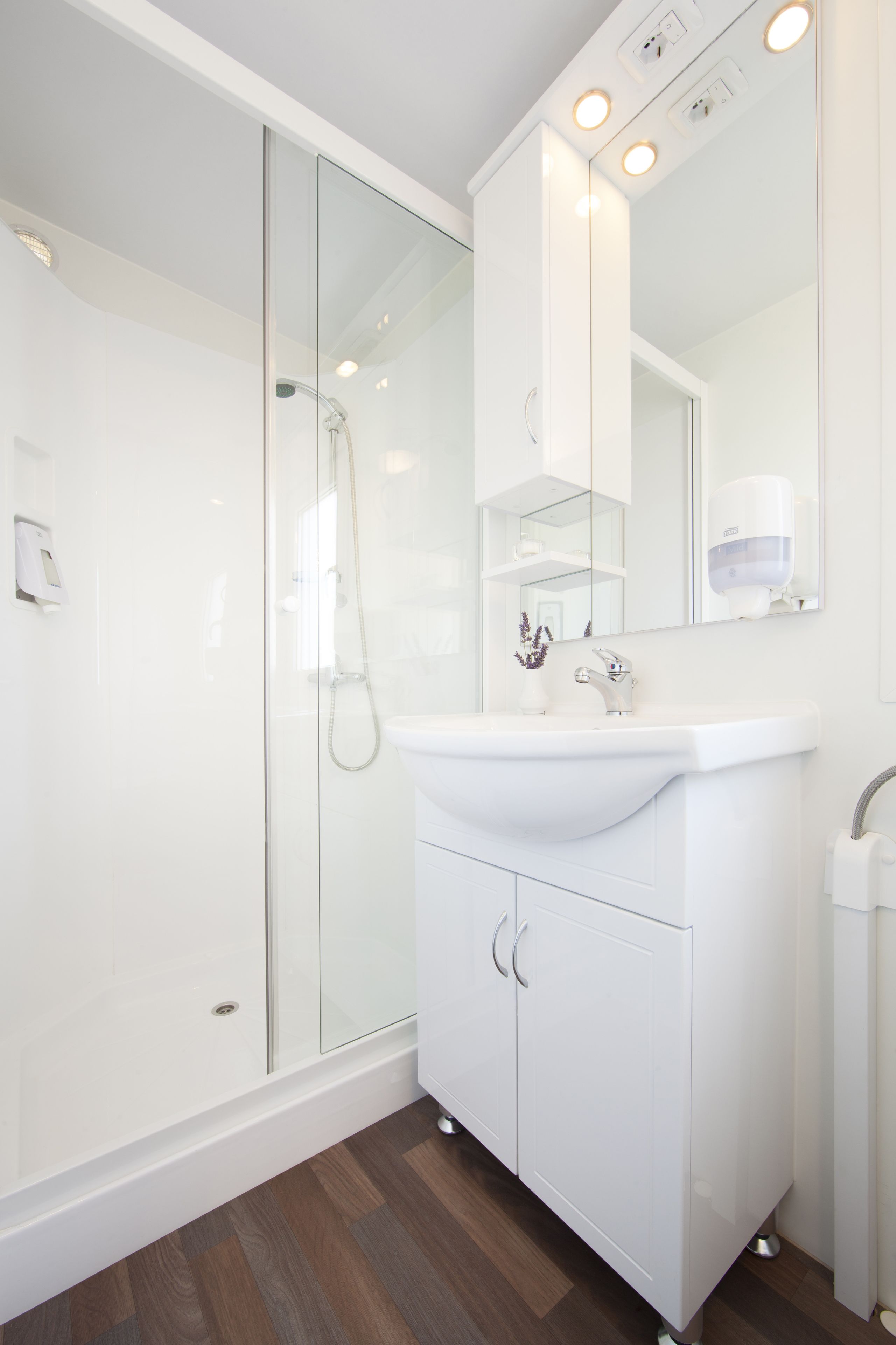 A modern bathroom with a glass shower enclosure, a white sink, and a large mirror.
