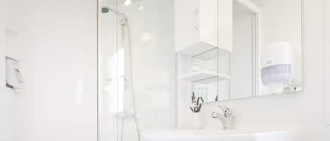 A modern bathroom with a glass shower enclosure, a white sink, and a large mirror.
