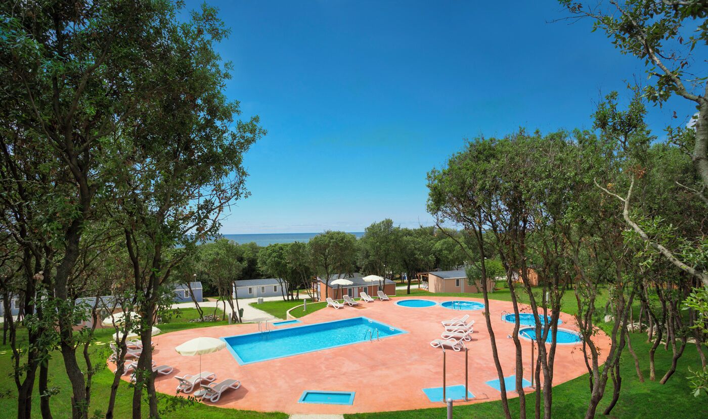 Un espace piscine comprenant plusieurs piscines et des chaises longues, entouré d’arbres et surplombé d’un ciel dégagé.