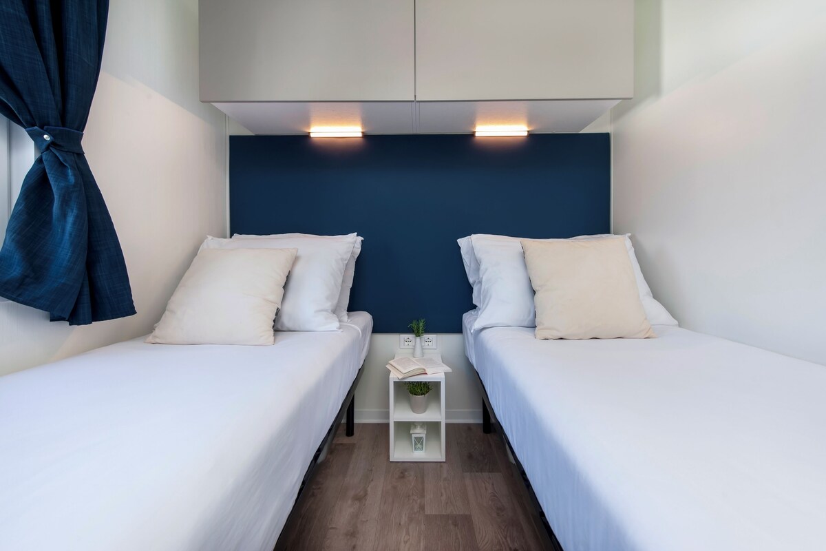 A twin room with two beds, a bedside table with a plant and book, and a blue accent wall.