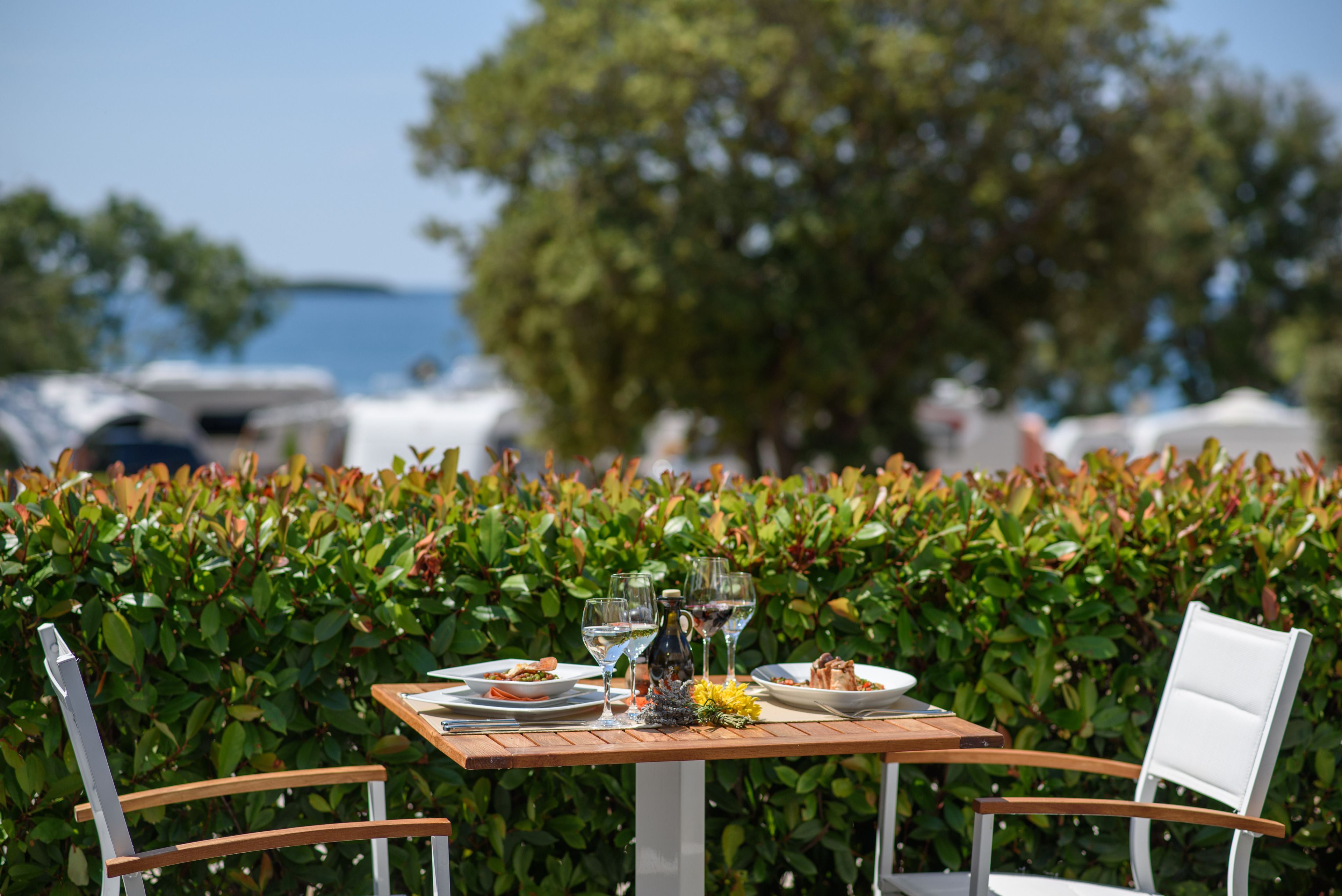 Una mesa al aire libre con platos de comida, copas de vino y una botella, rodeada de vegetación exuberante y vistas al mar.