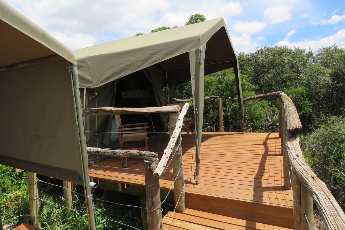 A tented structure with a wooden deck and a bench.