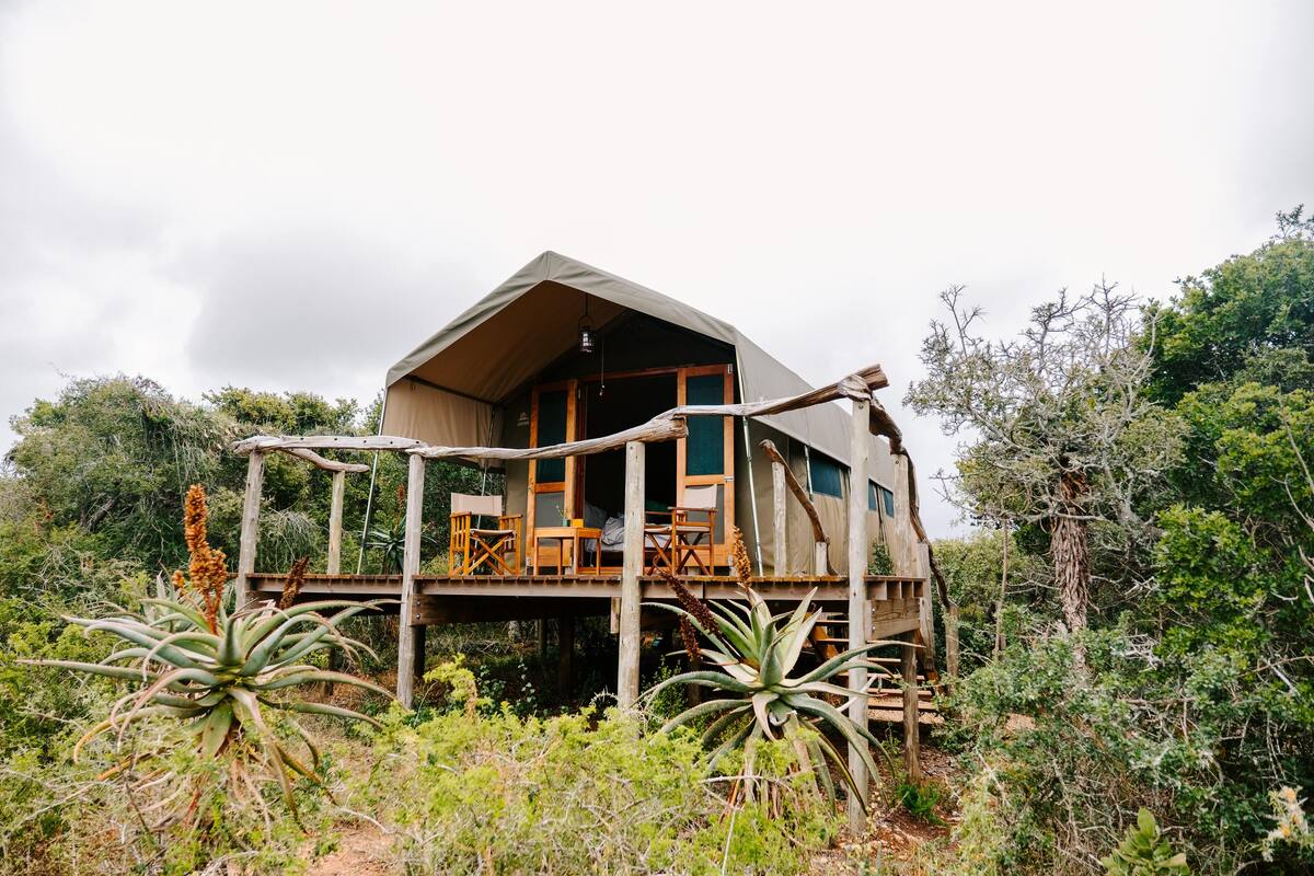 A tent-style accommodation with a wooden deck and seating area, surrounded by natural vegetation.