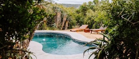 Una piscina rodeada de abundante vegetación, con dos sillones de madera y una terraza de madera.