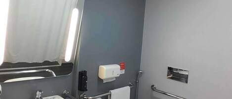 Bany amb rentamig, mirall, dispensador de tovalloles i barres de sujeció.