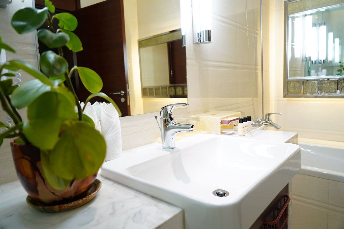 A bathroom with a white sink, a mirror, and a potted plant.