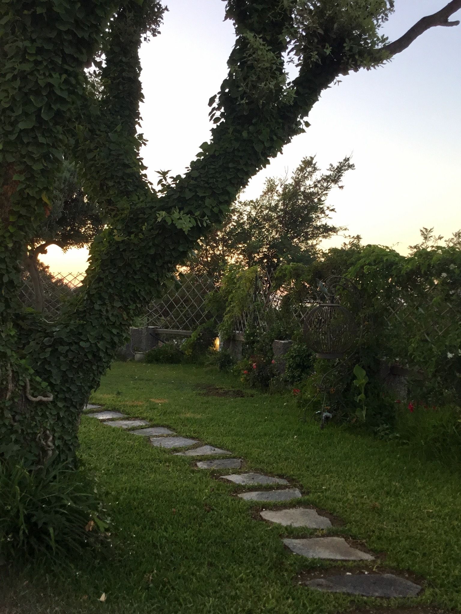 Photo - Villa Neptunus